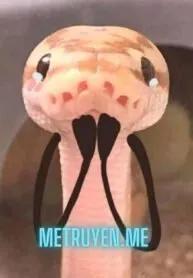 Truyện Ông Chủ Có Một Con Rắn Đen Nhỏ - Móng vuốt 0w0