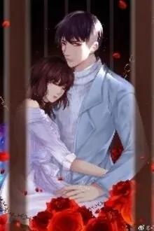 Truyện Ông Xã, Anh Đang Đùa Với Lửa - Hồng Mạo Tử