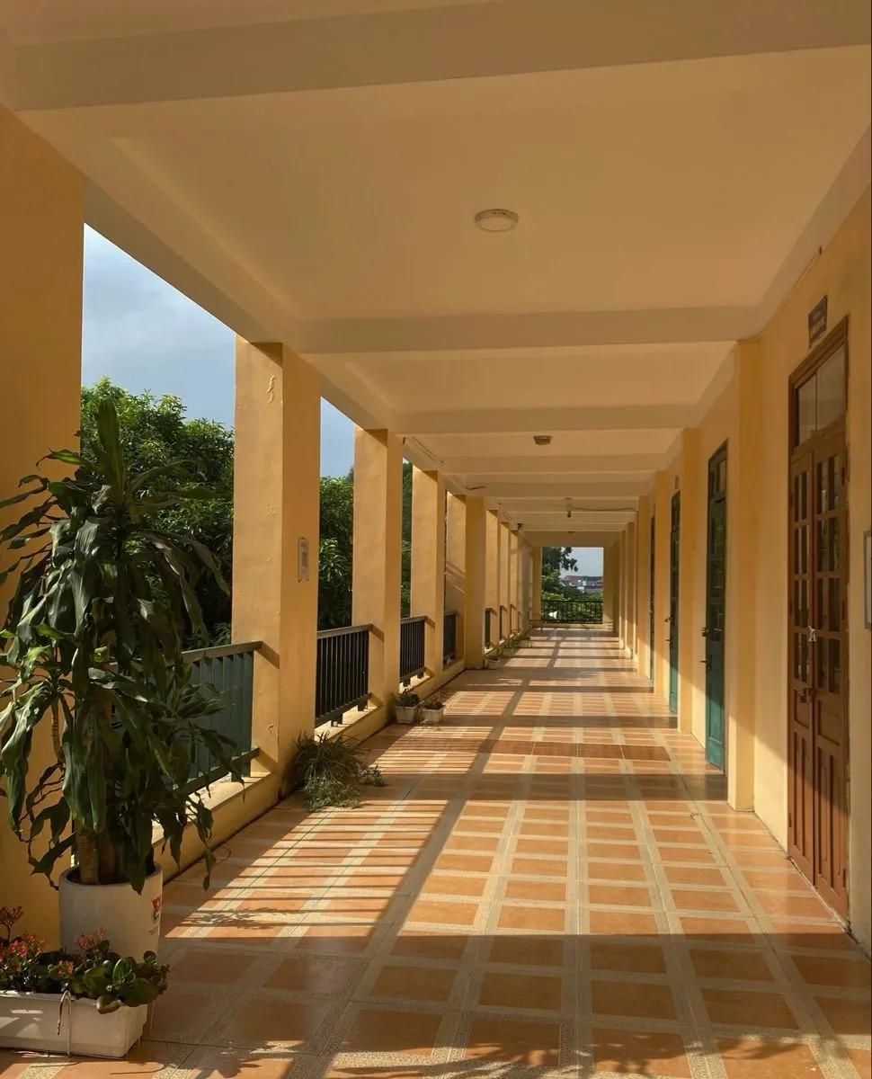 Truyện PHÍA SAU ÁNH BÌNH MINH - Ynzhang