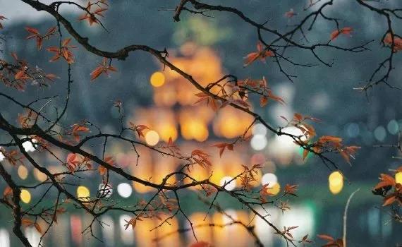 Truyện Phòng toát mồ hôi - Truyện Cổ Tích