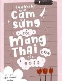 Truyện Sau Khi Bị Cắm Sừng, Tôi Mang Thai Con Của Boss - Hoa Thanh Loan
