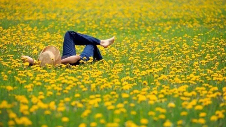 Truyện Sẽ luôn tìm được cách - Truyện Cổ Tích