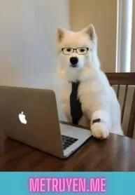 Truyện Sếp Tui Biến Thành Cún Rồi! - Thập Tứ Kỳ