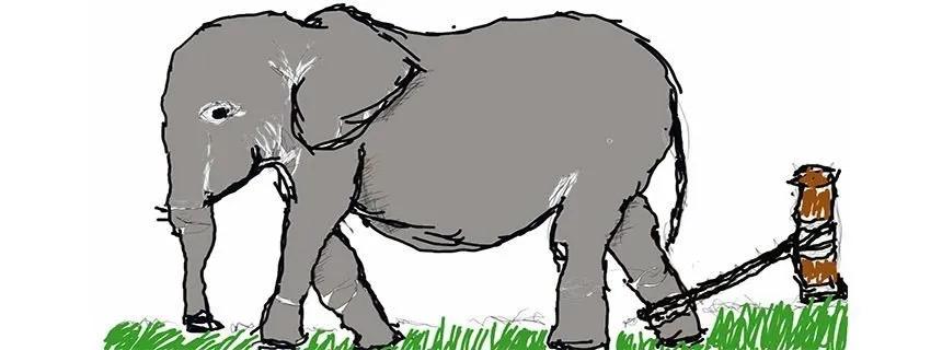 Truyện Sợi dây giữ voi - Truyện Cổ Tích