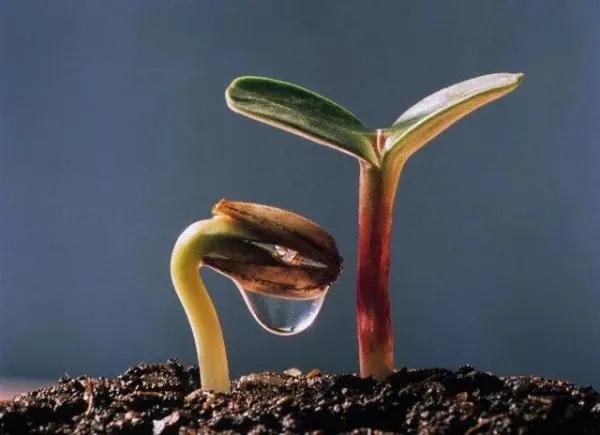 Truyện Sống trọn vẹn từng ngày - Truyện Cổ Tích