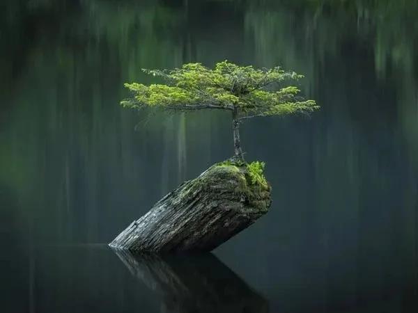 Truyện Sự bình yên - Truyện Cổ Tích