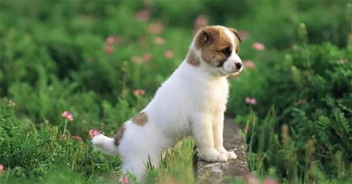 Truyện Sự nhầm lẫn ý nghĩa - Truyện Cổ Tích