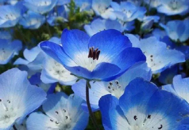 Truyện Sự thay đổi - Truyện Cổ Tích