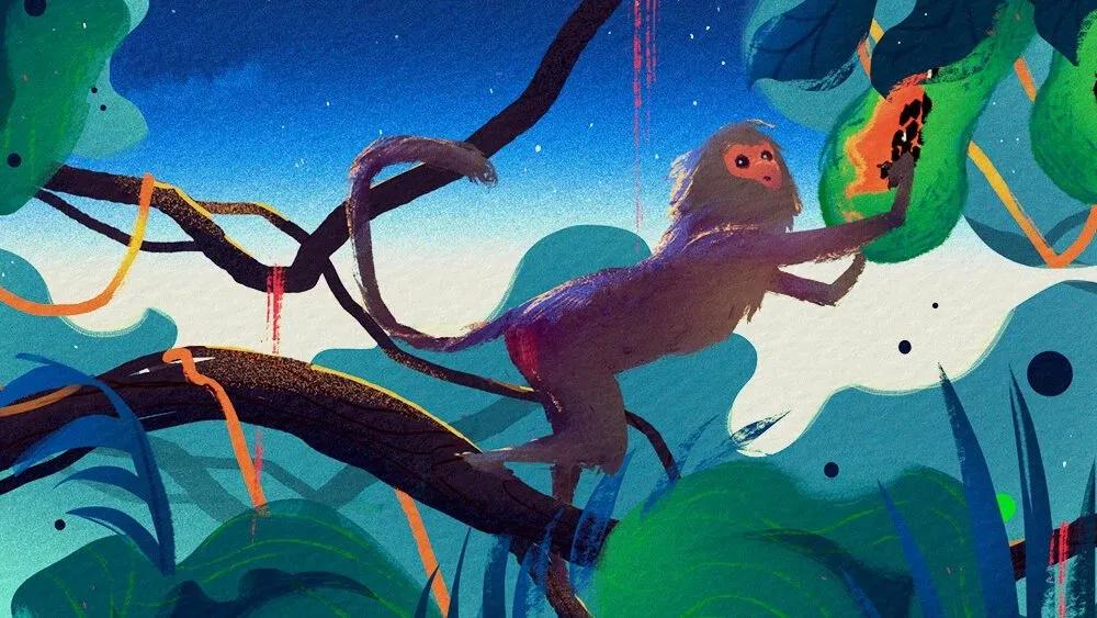 Truyện Sự tích câu nói Nhăn như khỉ - Truyện Cổ Tích