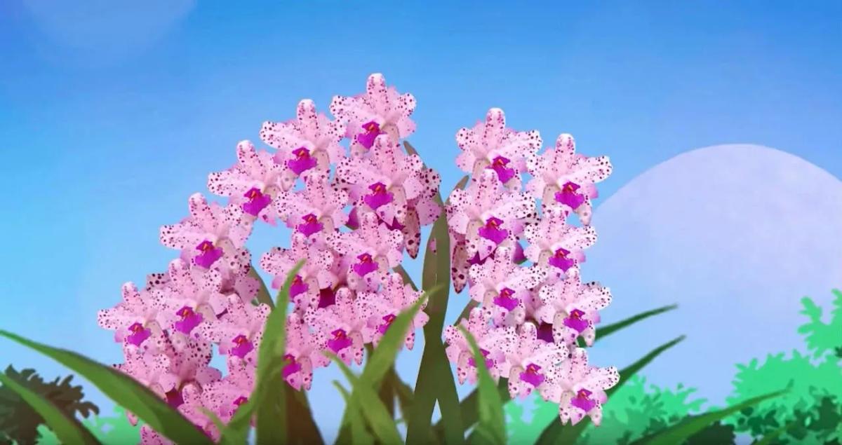 Truyện Sự tích hoa Linh Lan - Truyện Cổ Tích