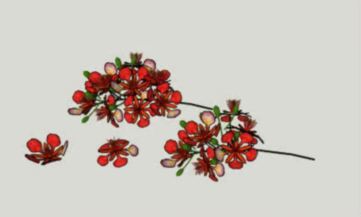 Truyện Sự tích hoa phượng - Truyện Cổ Tích