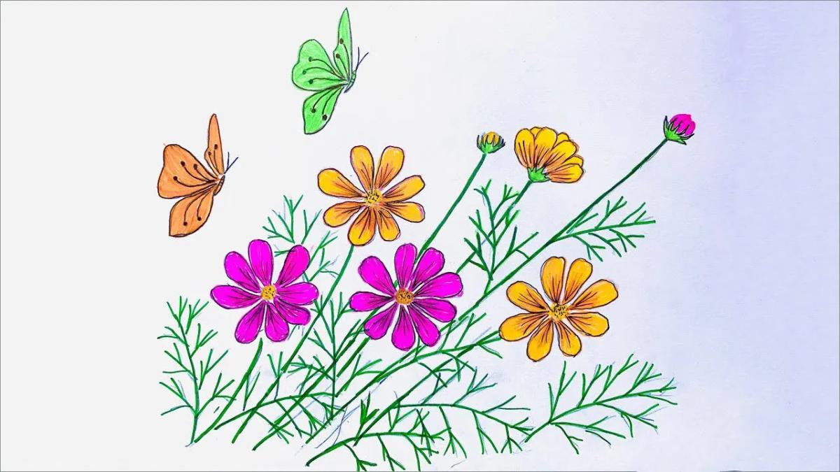 Sự tích hoa sao băng