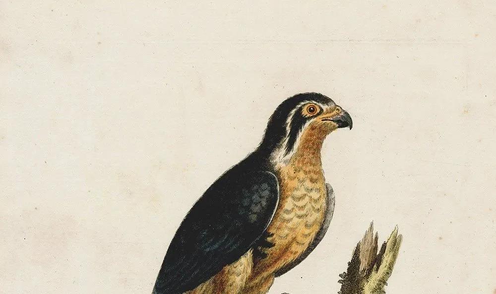 Truyện Sức mạnh của niềm tin - Truyện Cổ Tích