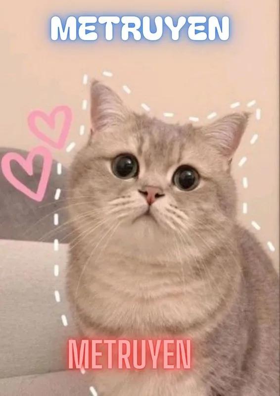 Truyện Ta Nuôi Giáo Thảo Trong Nhà - Bì Tạp Đường Lão Tự Hào