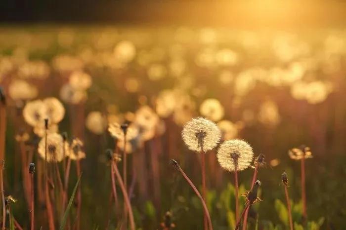 Truyện Thêm một ngày con ở bên mọi người... - Truyện Cổ Tích