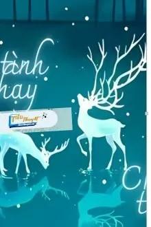 Truyện Theo Tình Tình Chạy, Chạy Tình Tình Theo - H&uacute;y