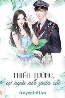 Truyện THIẾU TƯỚNG, VỢ NGÀI NỔI GIẬN RỒI - Ngoc
