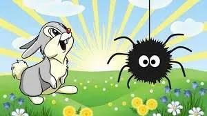 Truyện Thỏ và Nhền Nhện - Truyện Cổ Tích