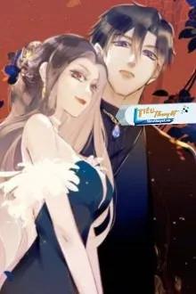 Truyện Thoả thuận hôn nhân - Pulppy