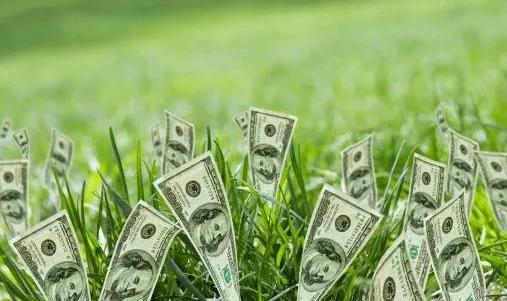 Thưa cô, cô giàu có phải không ạ?