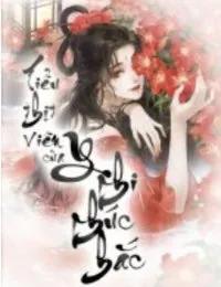 Truyện Tiểu thịt viên của y phi phúc hắc - Phi Y