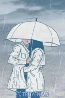 Tìm Tình Yêu Trong Bình Yên