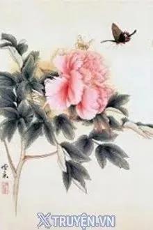 Truyện Tình Mẫu Đơn - Lisa See