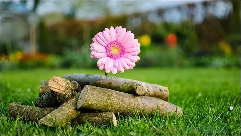 Truyện Tình yêu và cuộc sống - Truyện Cổ Tích