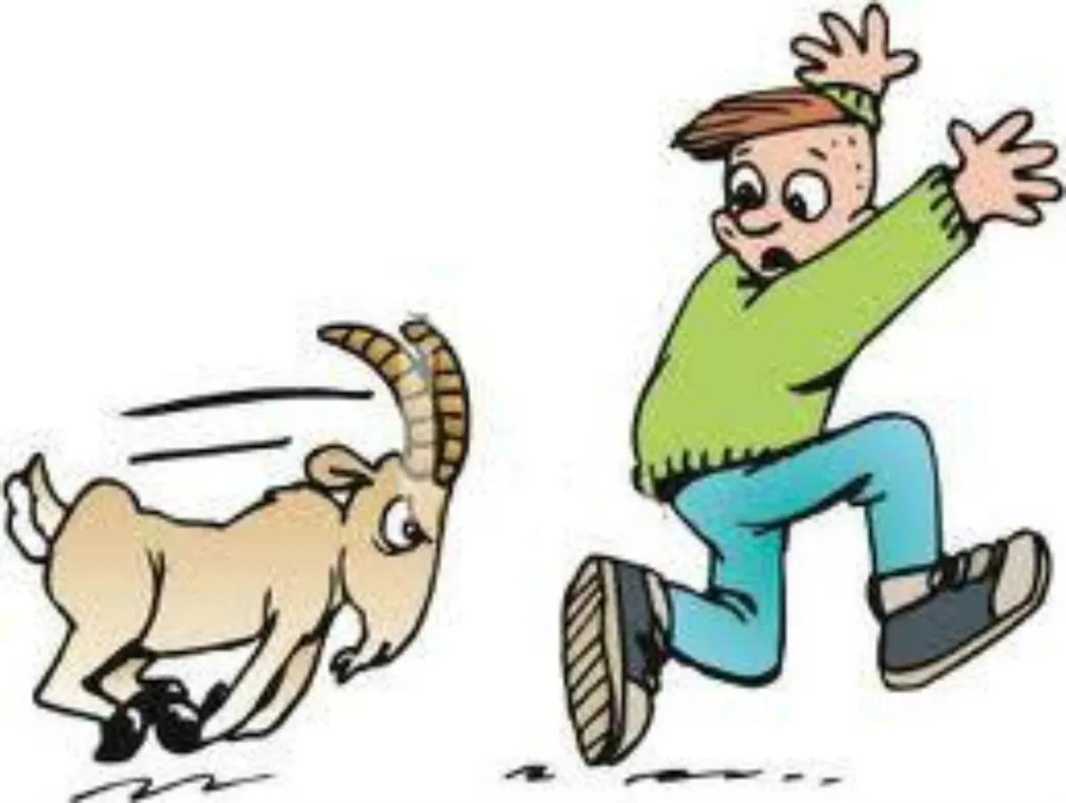 Truyện Tôi muốn húc - Truyện Cổ Tích