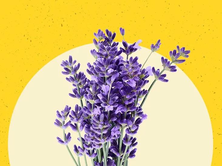 Truyện Tôi yêu - Truyện Cổ Tích