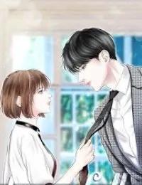 Truyện Tổng Giám Đốc Truy Thê Bị Từ Chối 99 Lần - Đường Hoài An - Hạ Y