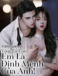 Truyện Tổng Tài Câm: Em Là Định Mệnh Của Anh - An Thư Mạn - An Thư Mạn