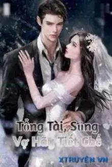 Truyện Tổng Tài, Sủng Vợ Hãy Tiết Chế - Ninh Ninh