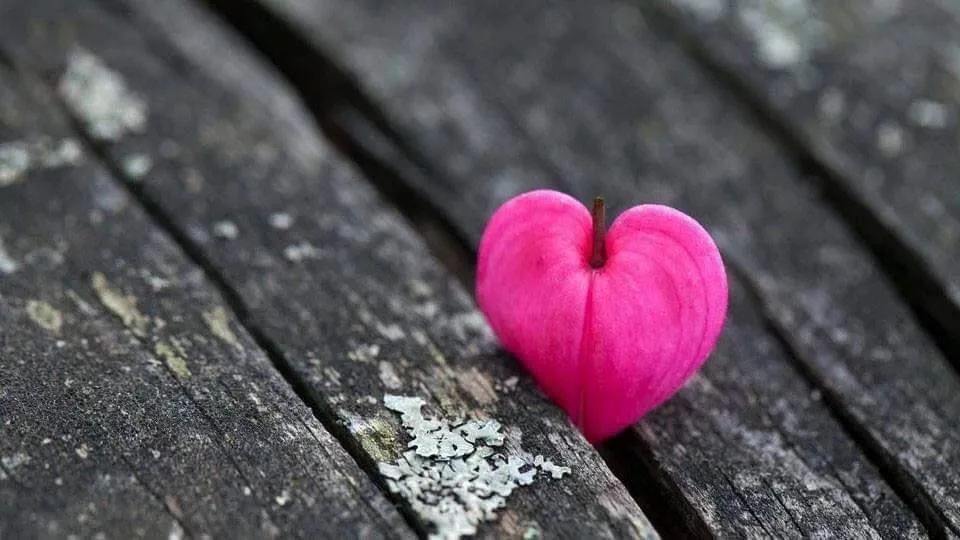 Truyện Trái tim hoàn hảo - Truyện Cổ Tích