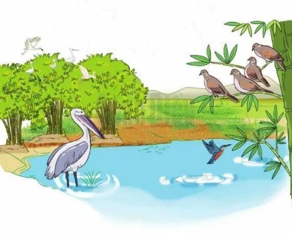 Truyện Trò chuyện với loài chim - Truyện Cổ Tích