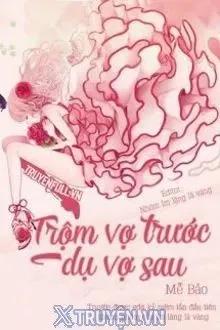 Truyện Trộm Vợ Trước, Dụ Vợ Sau - Mễ Bao