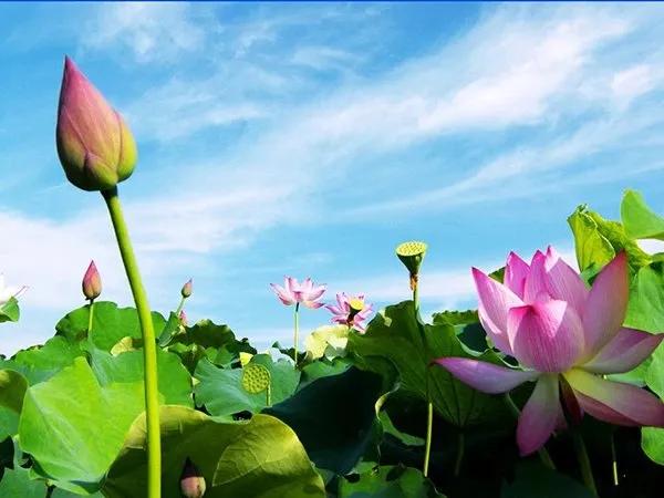 Truyện Vẻ đẹp tâm hồn - Truyện Cổ Tích