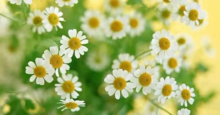 Vở “kịch câm” và chai nước