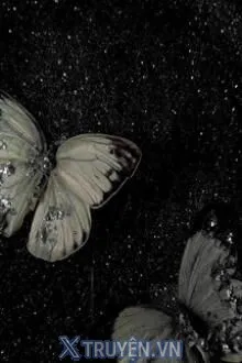 Truyện Kẻ Đền Tội - Zhihu