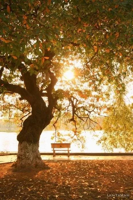 Truyện Ẩn sau vỏ bọc hạnh phúc - quytsama