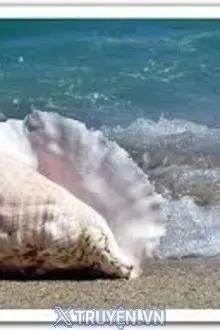 Truyện Biển Khóc - Sea