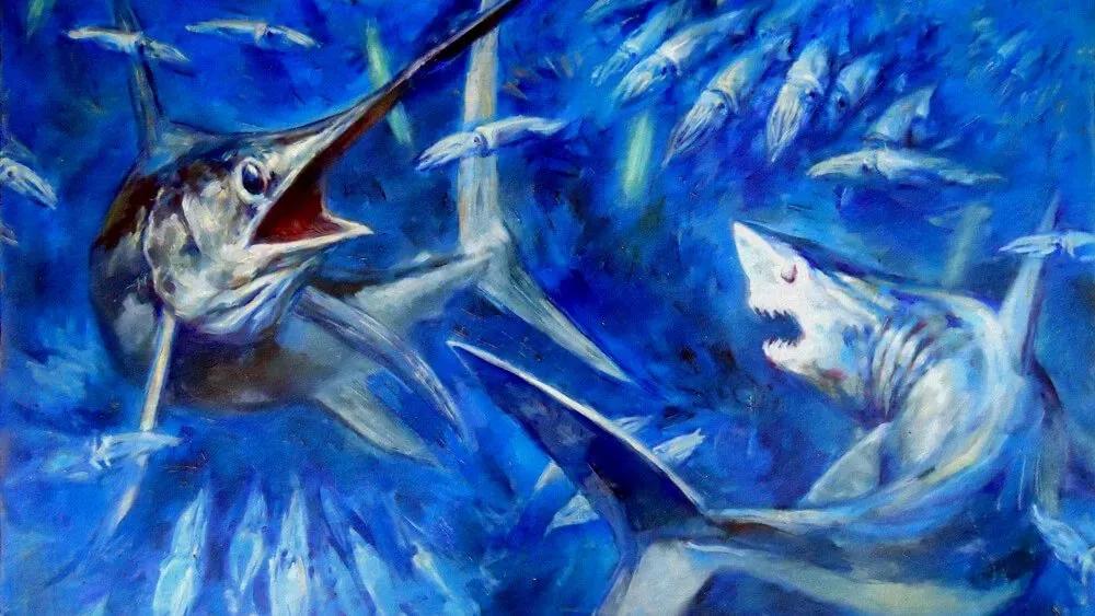 Truyện Cá Mập và Cá Kiếm - Truyện Cổ Tích