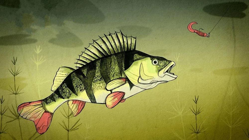 Truyện Cá Rô Ron không vâng lời mẹ - Truyện Cổ Tích