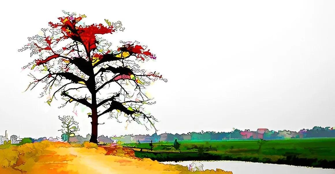 Truyện Cây gạo cõng mặt trời - Truyện Cổ Tích