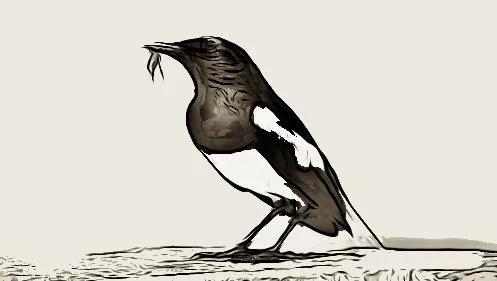 Truyện Chích chè! Chích chè che! - Truyện Cổ Tích