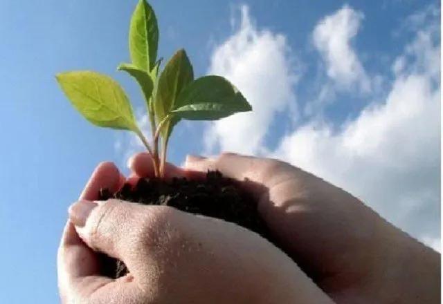 Truyện Chiếc bát vỡ - Truyện Cổ Tích