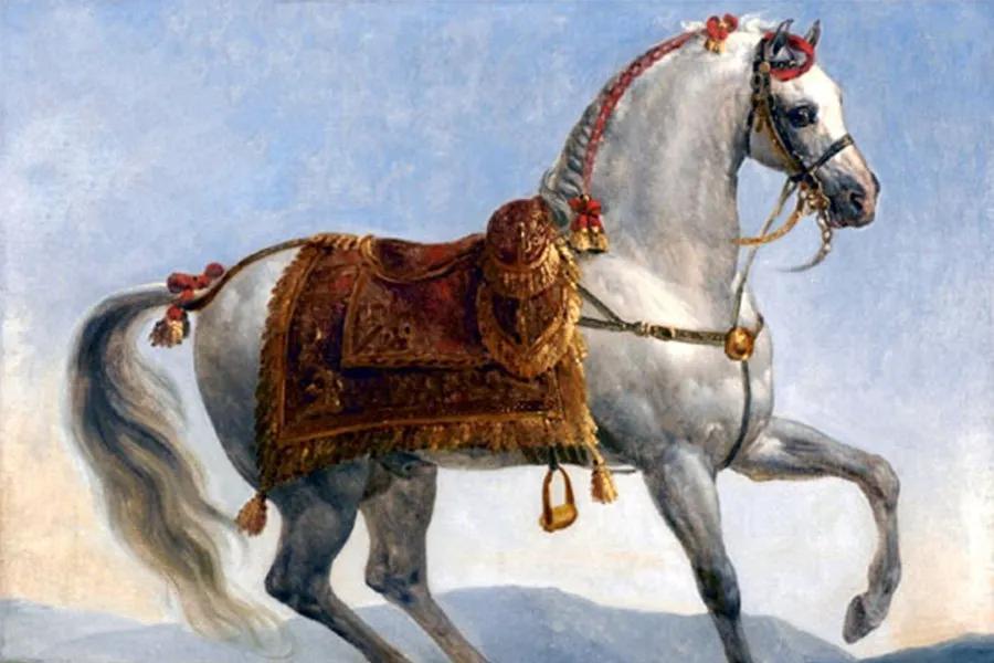 Truyện Chiến mã và con lừa - Truyện Cổ Tích