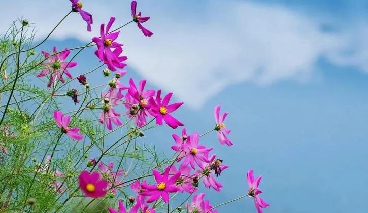 Truyện Cho ngày hôm nay - Truyện Cổ Tích