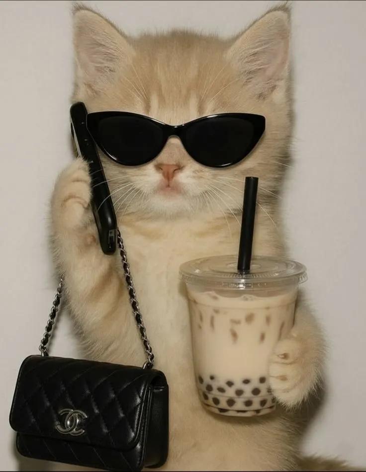 Truyện Chứng Bệnh Thích Hôn Của Trùm Trường - HI