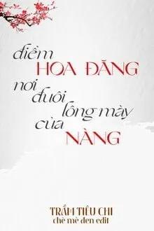 Truyện Điểm Hoa Đăng Nơi Đuôi Lông Mày Của Nàng - Trầm Tiêu Chi